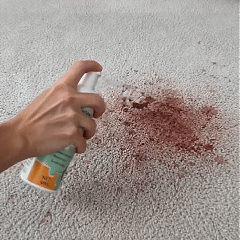 Original foam-cleaning demonstration from the source store