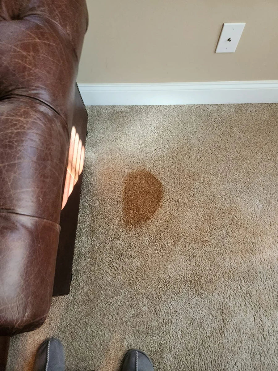 Amazon Customer — customer photo 1