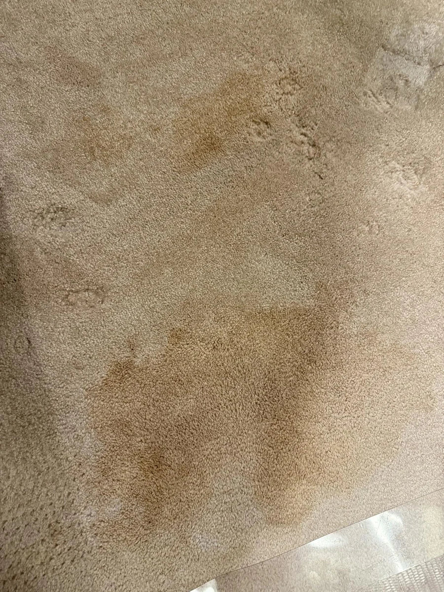 Lisa McLaughlin — customer photo 1